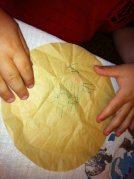 The conciliatory ant.