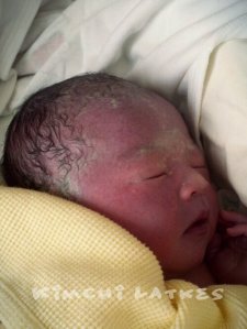 Chipmunk, just born. 