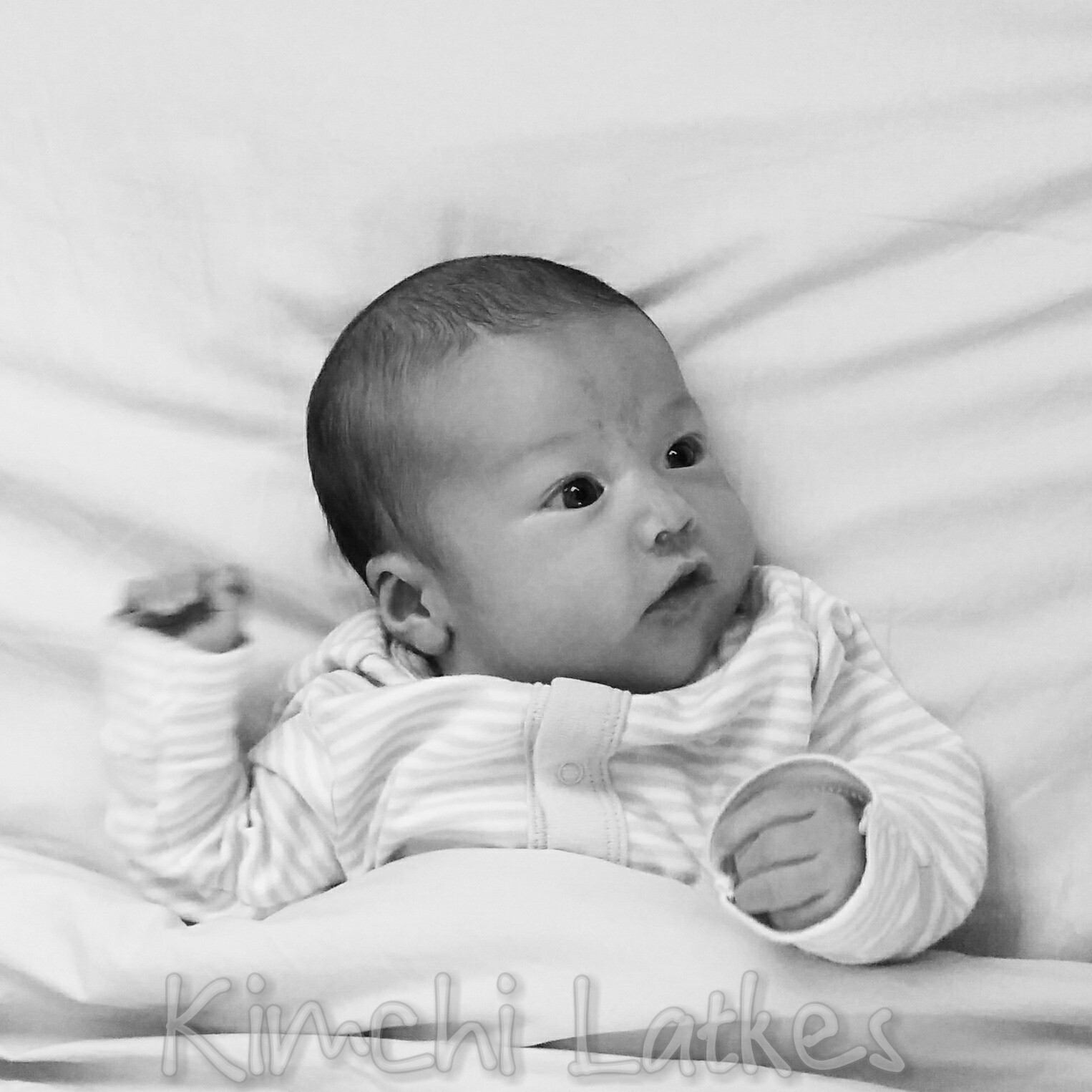 wpid-img_20141203_143701_wm.jpg image